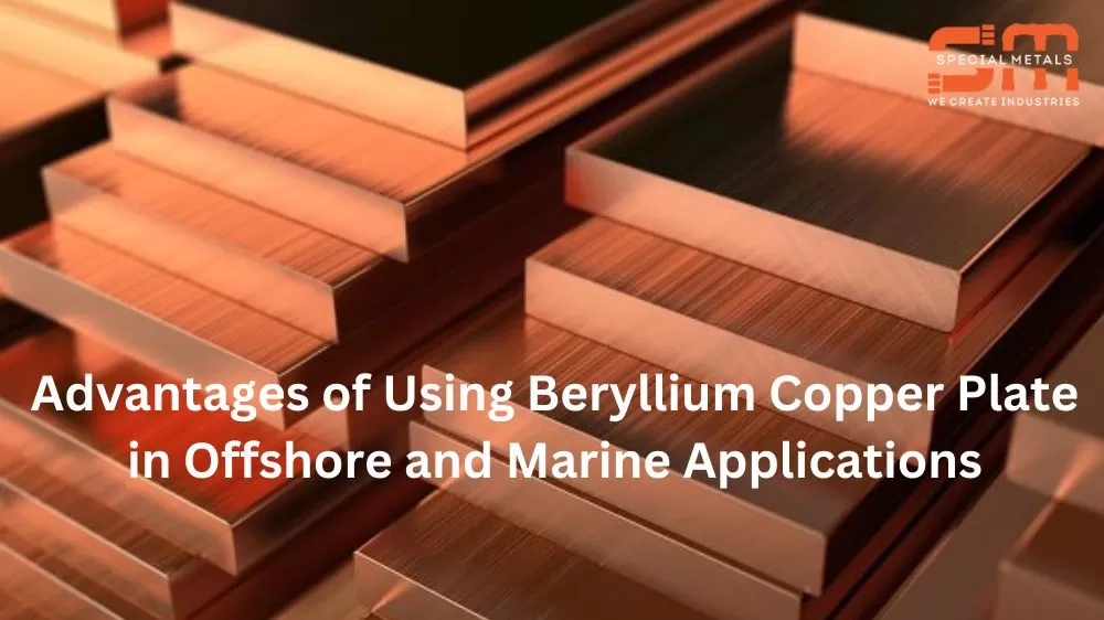 Beryllium Copper Plate