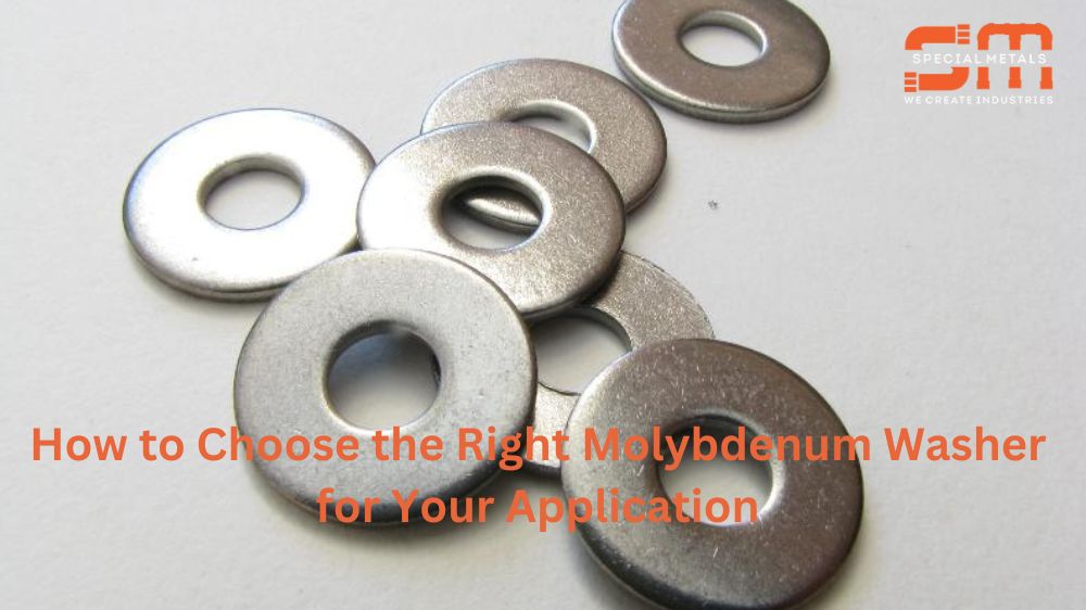 Molybdenum Washer